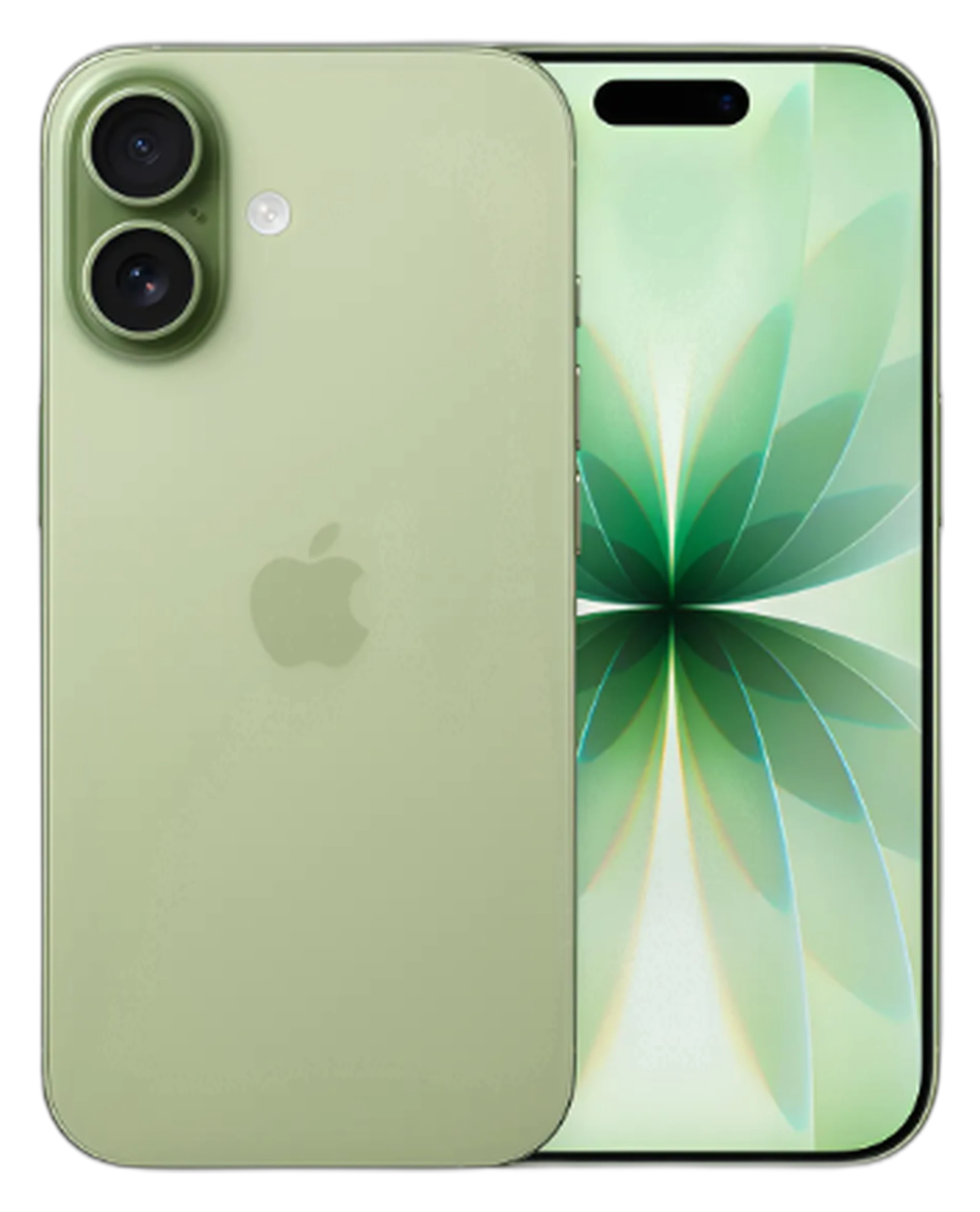 iPhone 17 256GB Sálvia – frente
